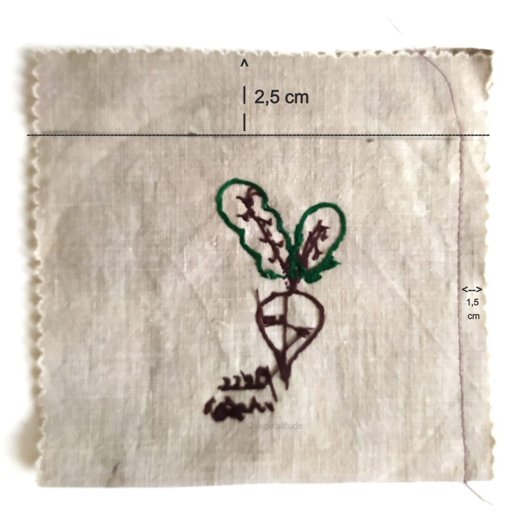 1. trait au crayon et coutures cotes