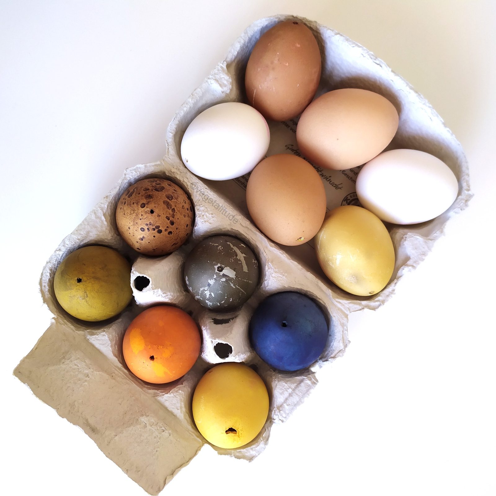Oeufs teins naturellement avec des teintures végétales
