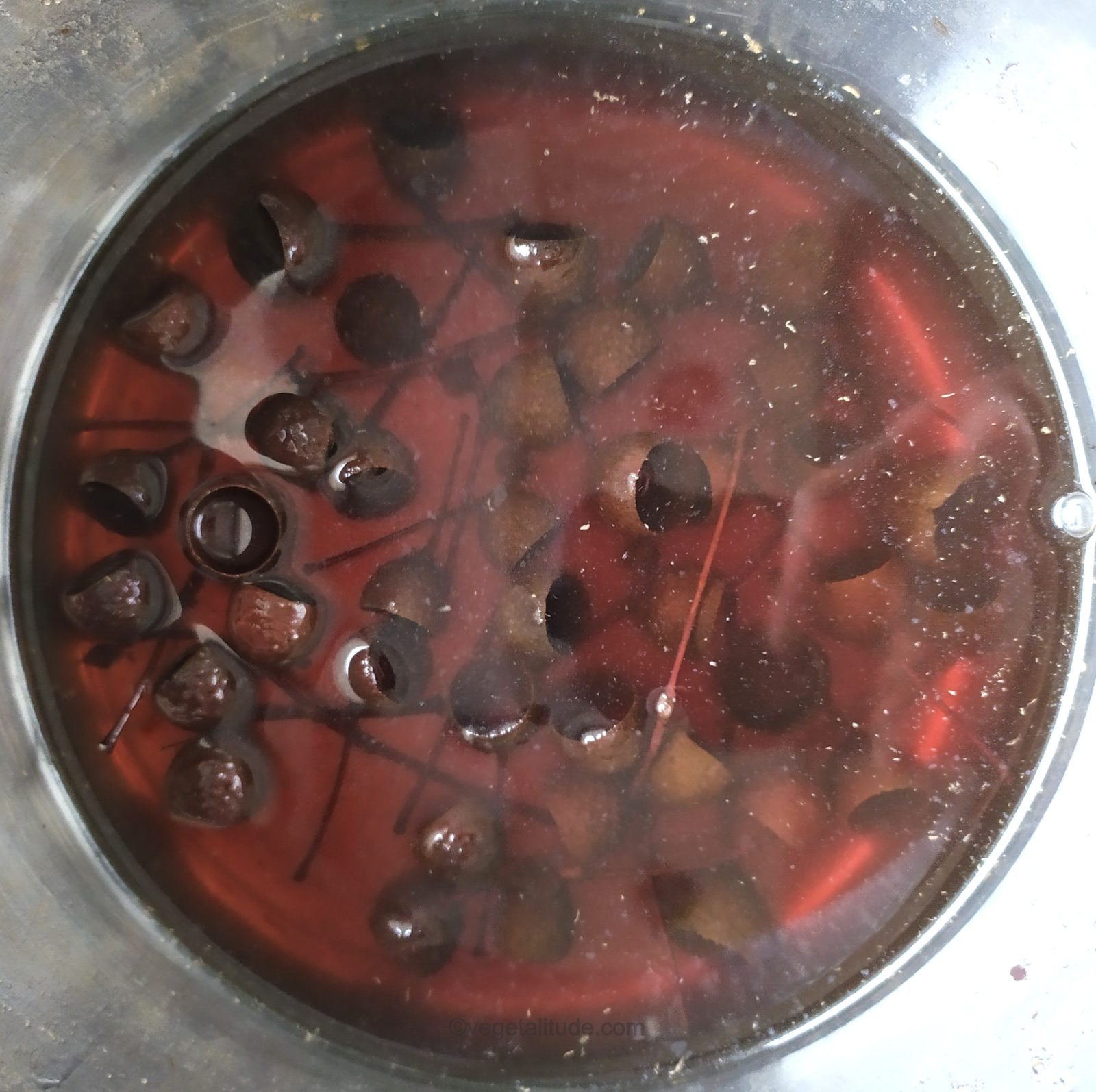 Bain de teinture aux cupules de glands de chêne