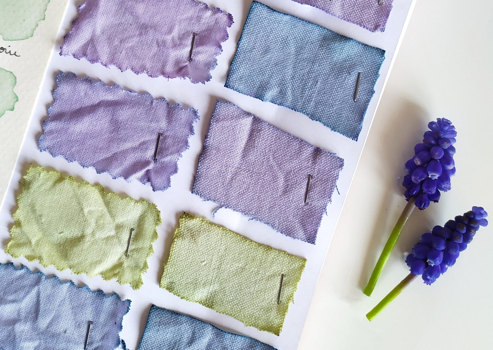 Teinture aux fleurs de Muscari : bleu, violet et vert