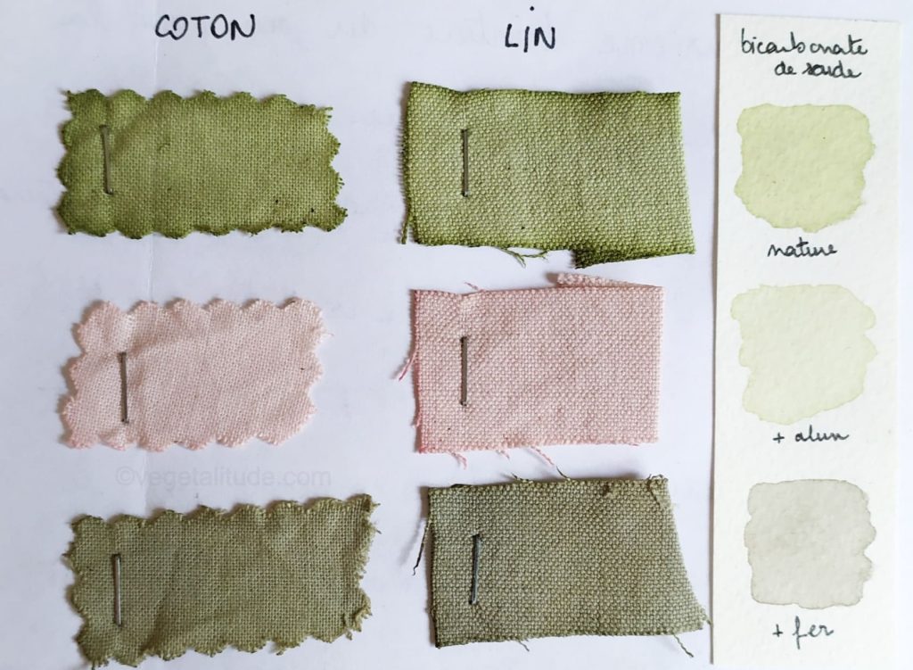 teinture au baies de lierre et bicarbonate de soude
