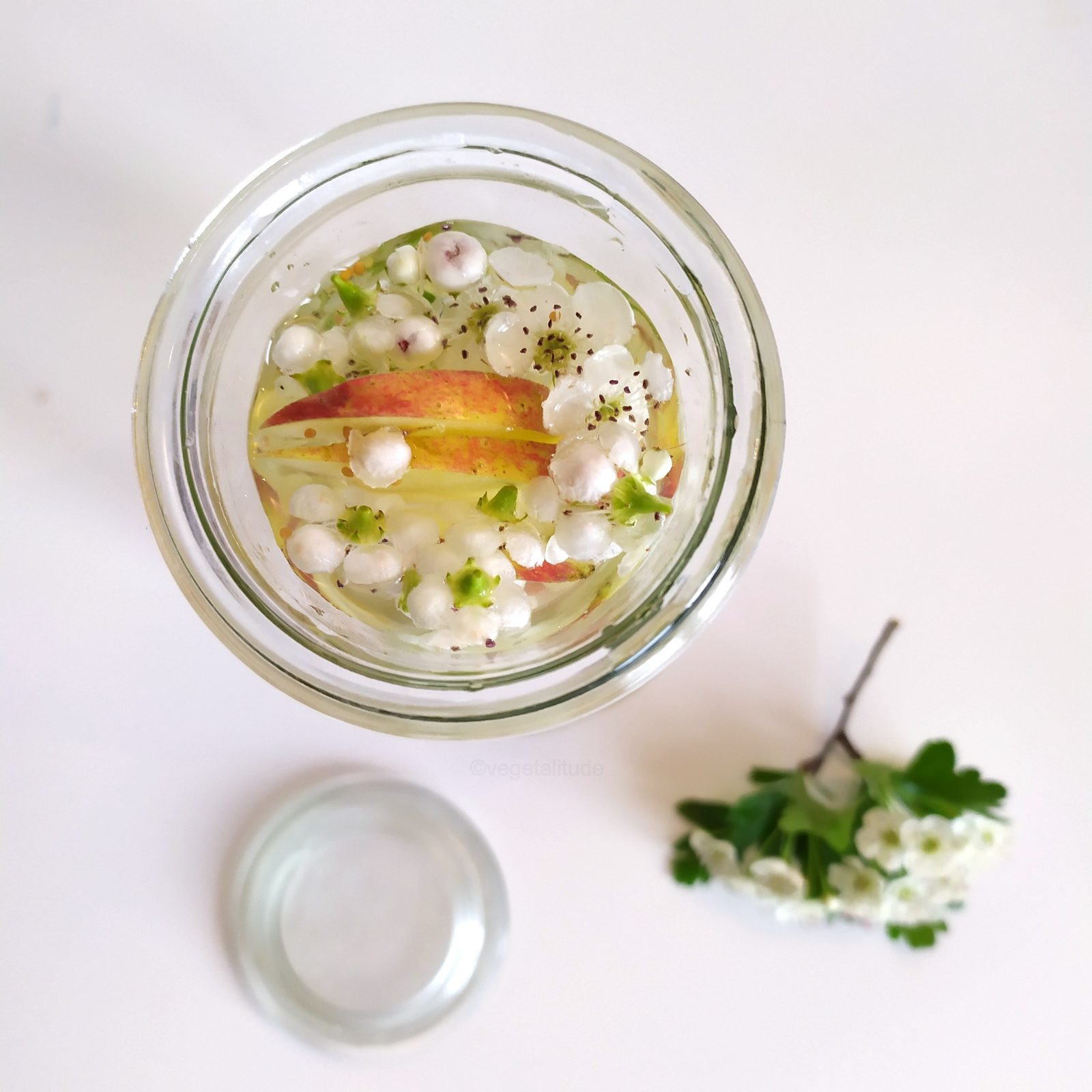 kéfir de pomme et fleurs d'aubépine