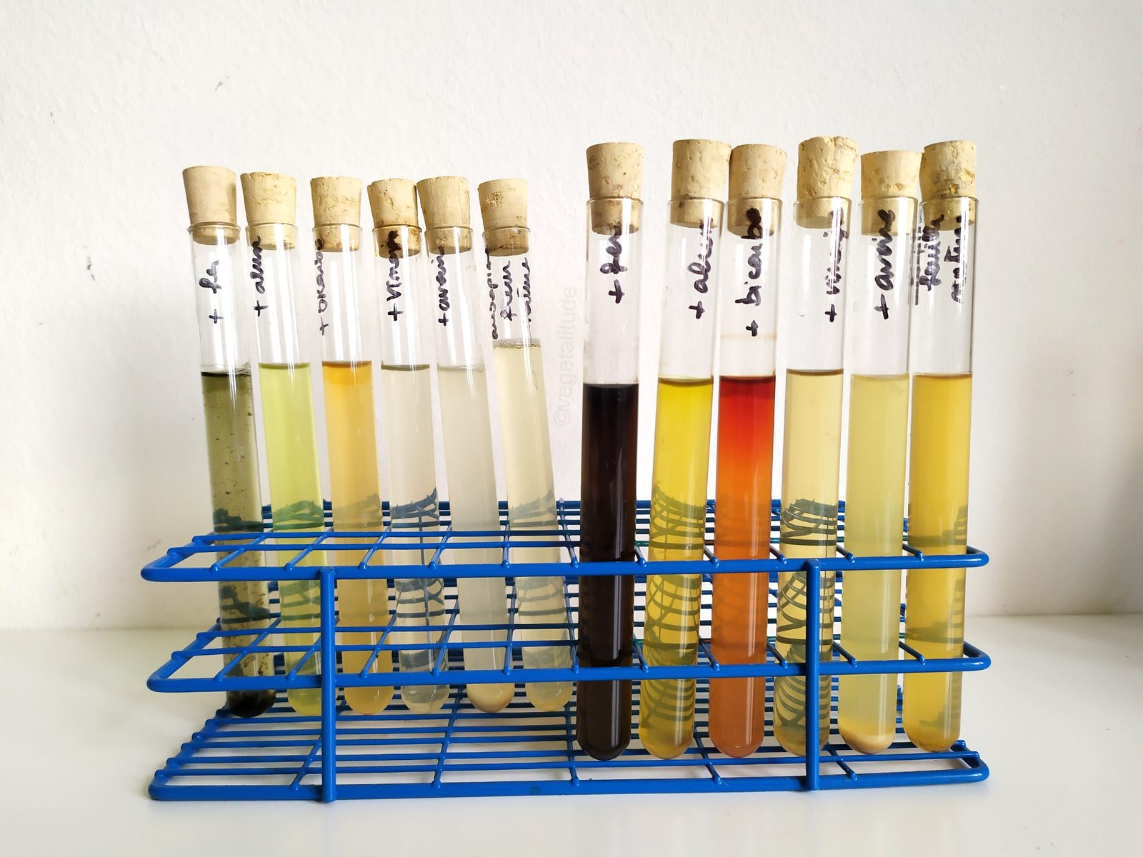 bains de teinture à l'aubépine en tubes à essai