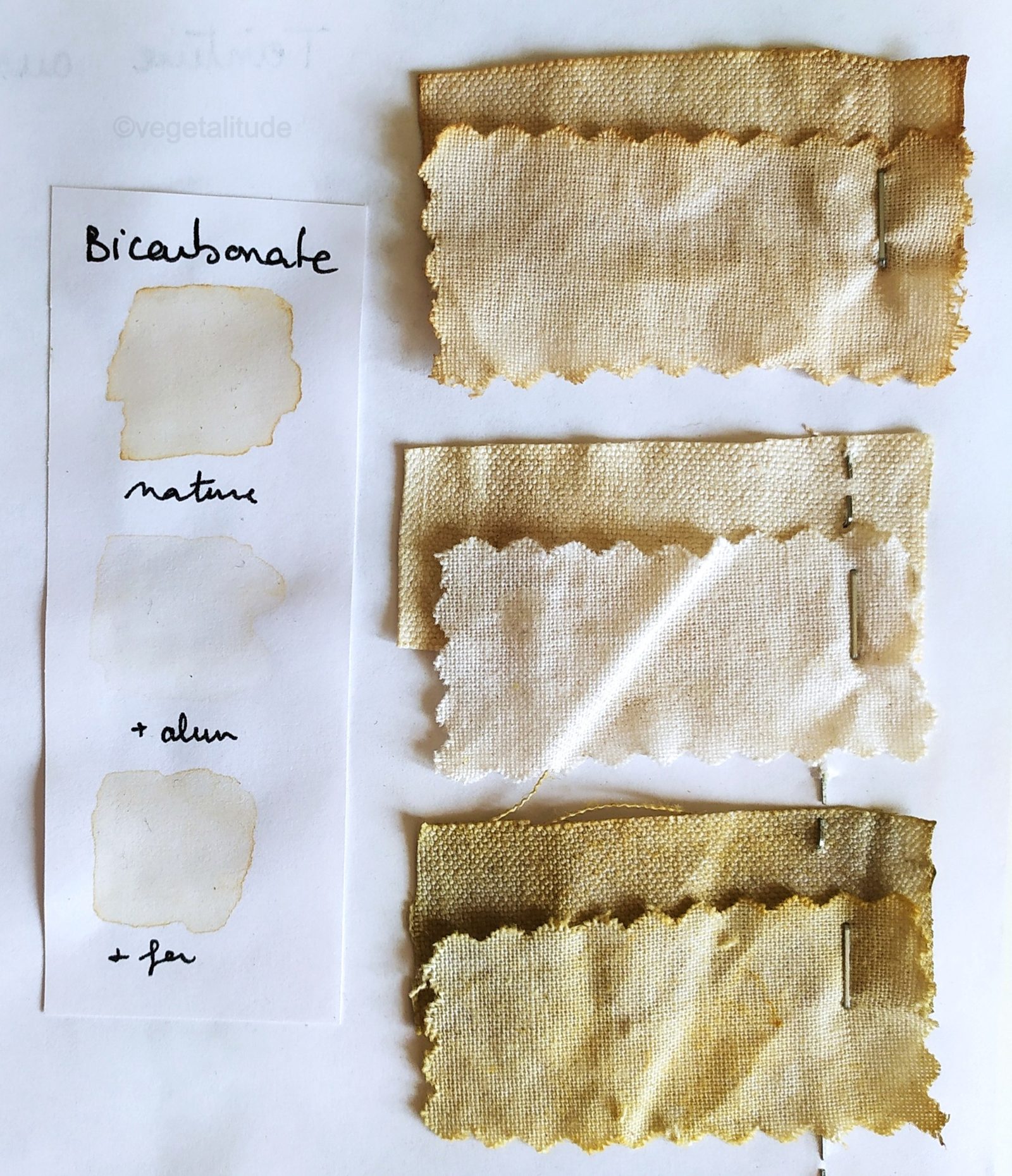 teinture végétale aux écorces de bouleau et bicarbonate de soude