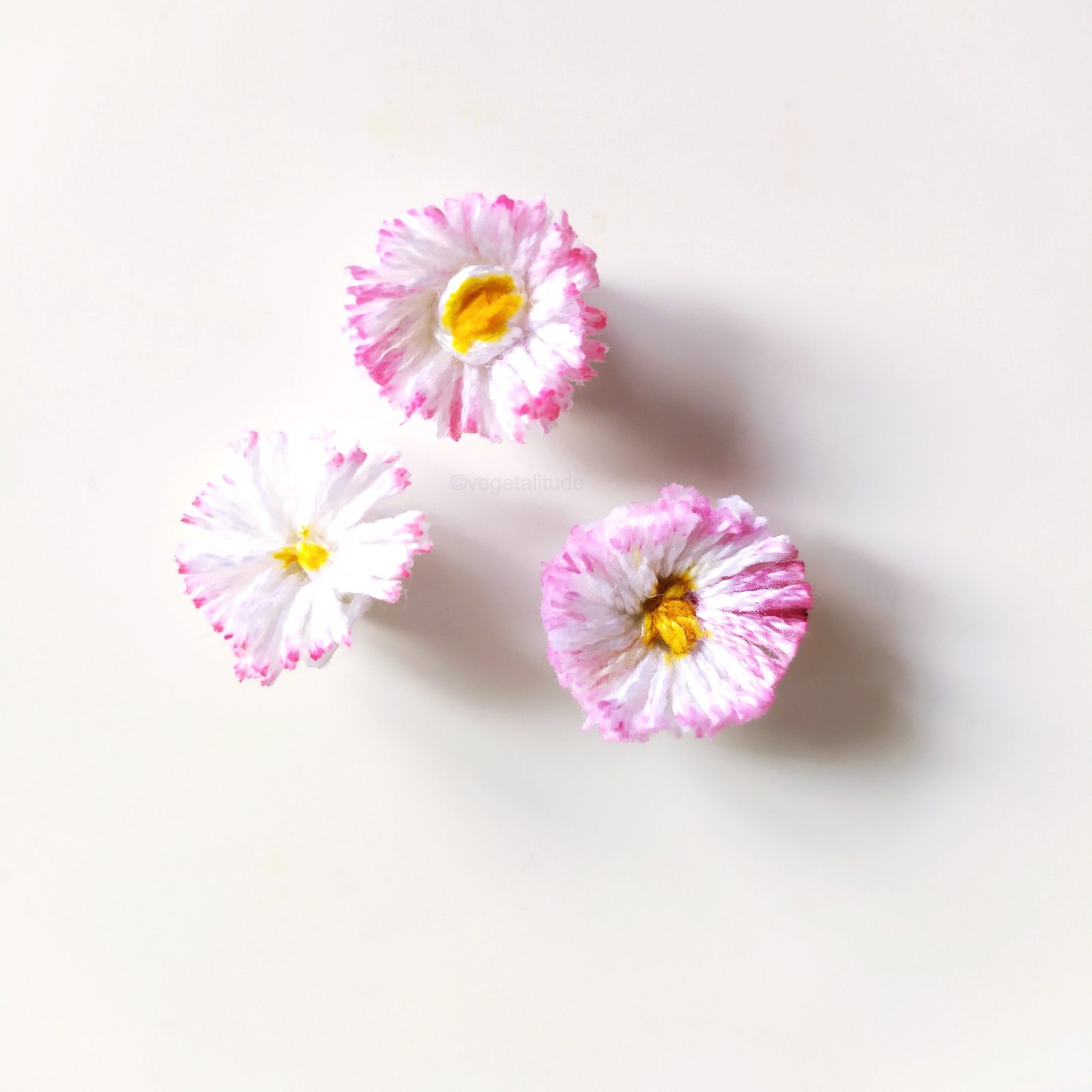 fleurs de pâquerette en fil
