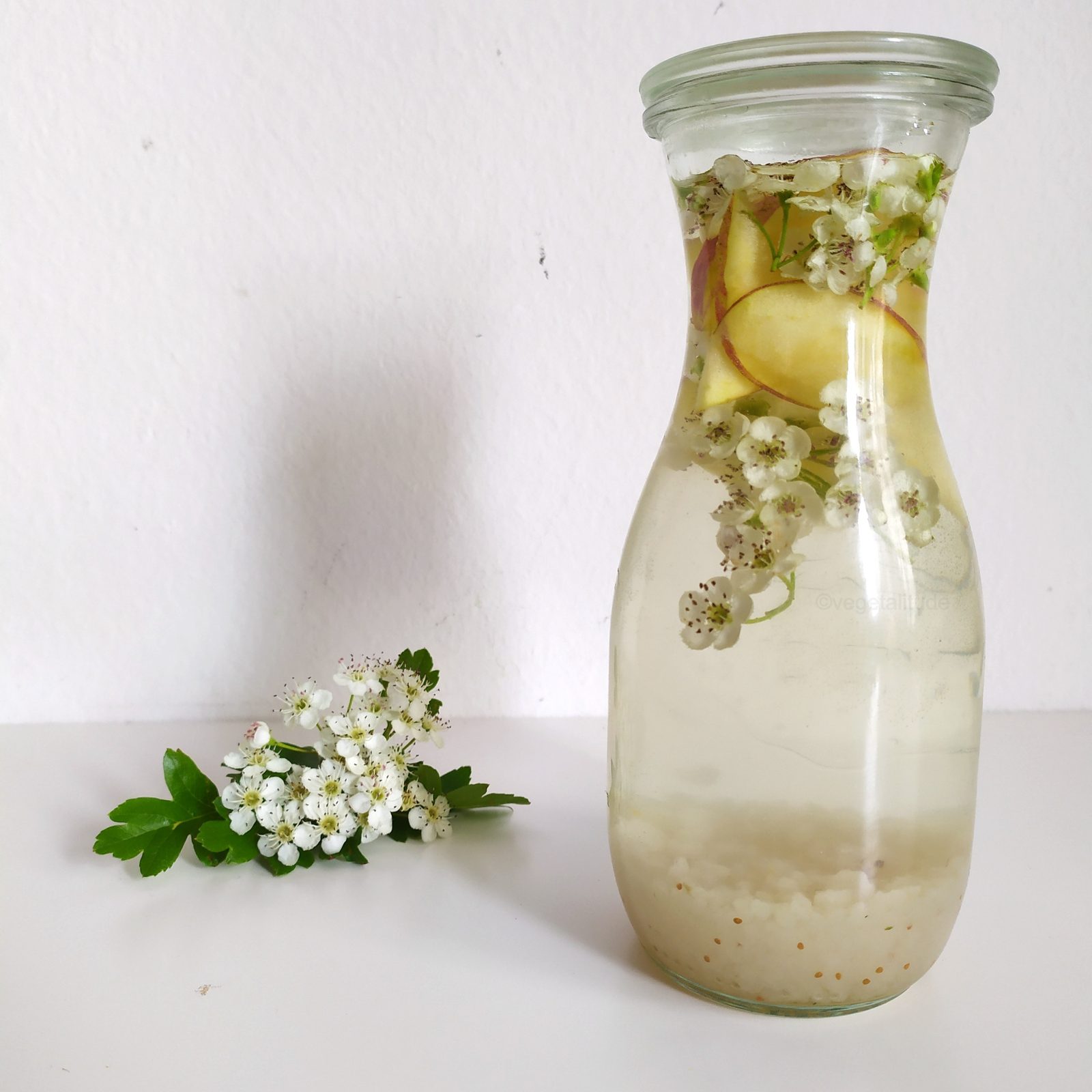 kéfir de fleurs d'aubépine et pomme