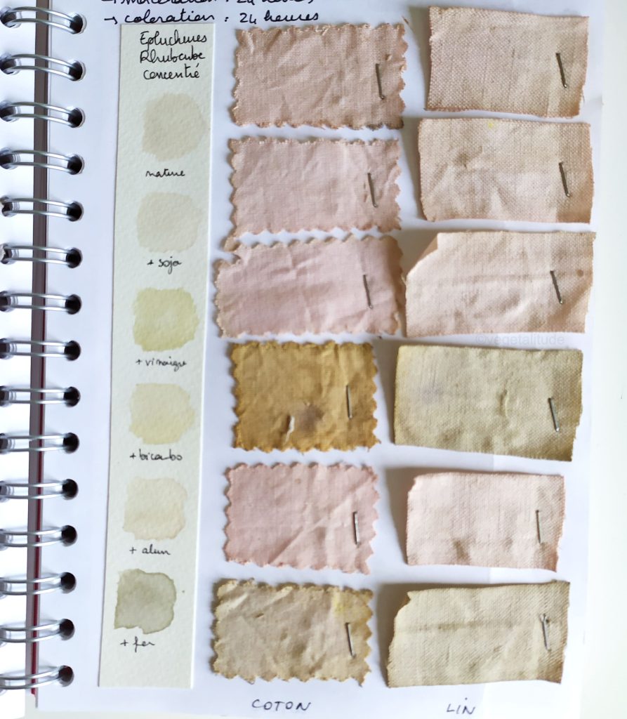 nuancier de teinture aux épluchures de rhubarbe concentre