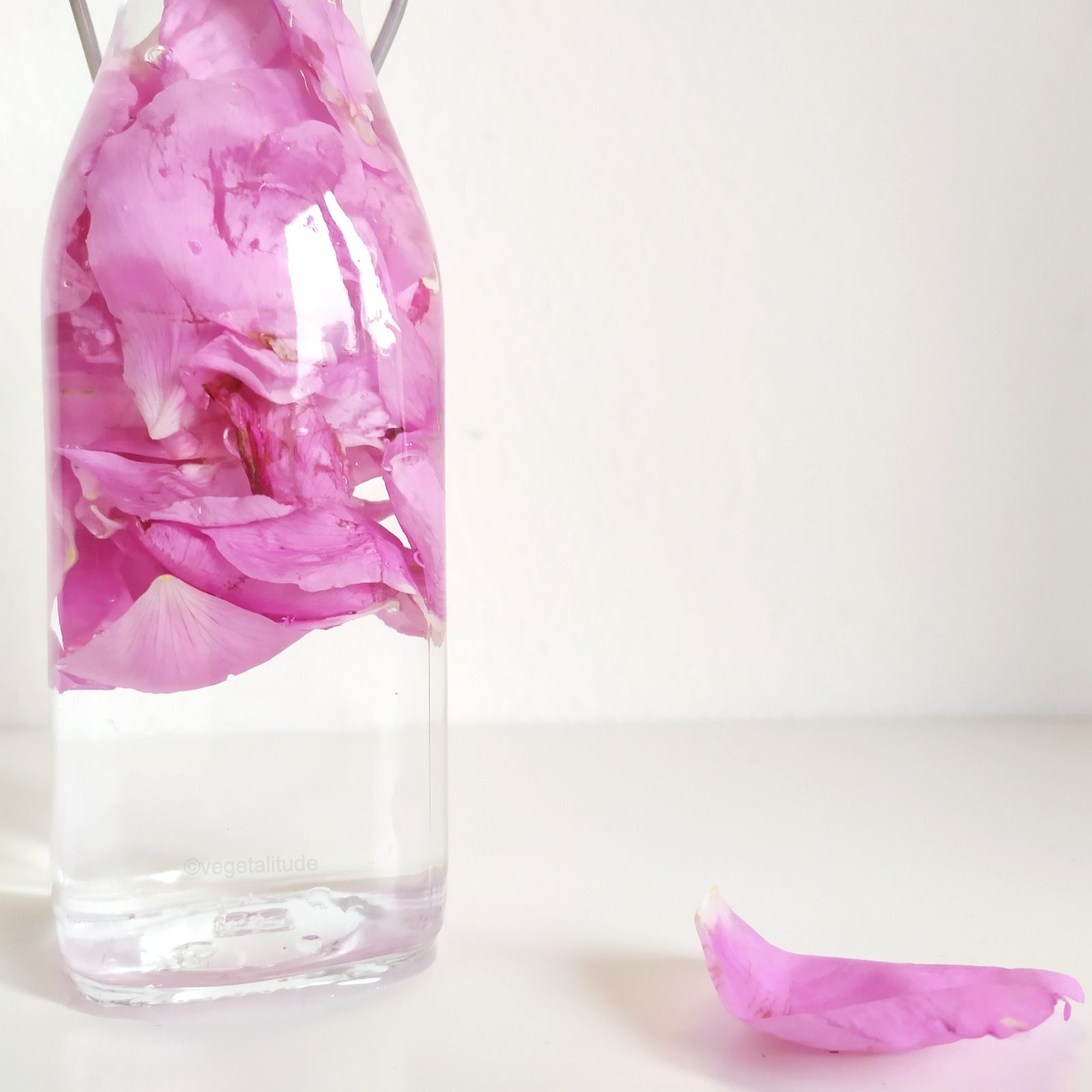 pétales de rose et eau distillée dans une bouteille en verre