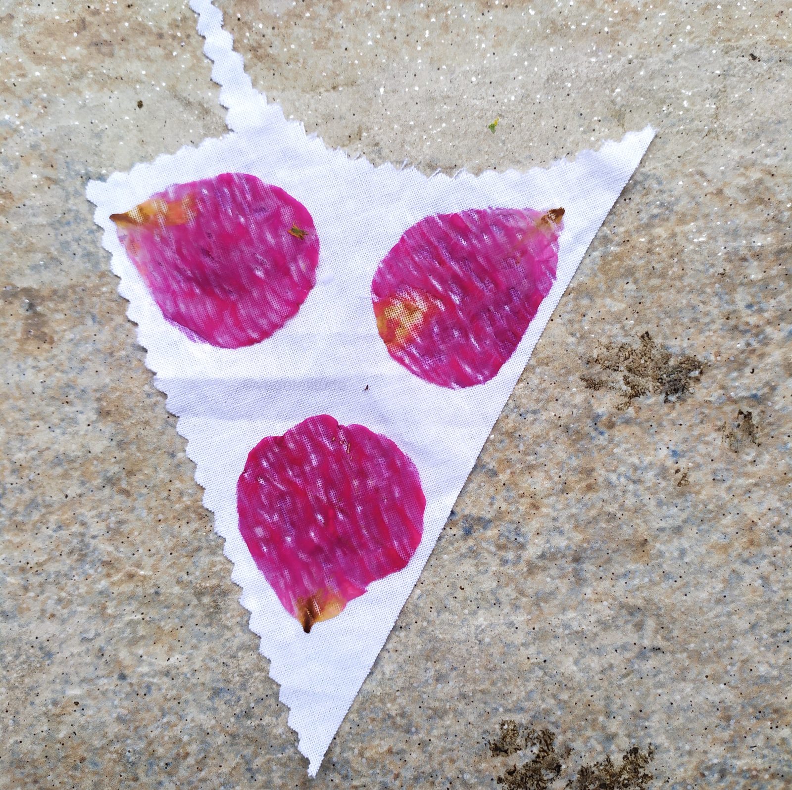 pétale de rose martelées sur un tissu blanc
