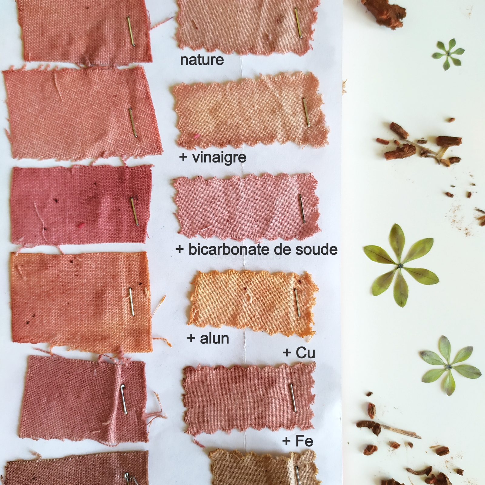 Nuances de rouge obtenues par teinture végétale aux racines de garance