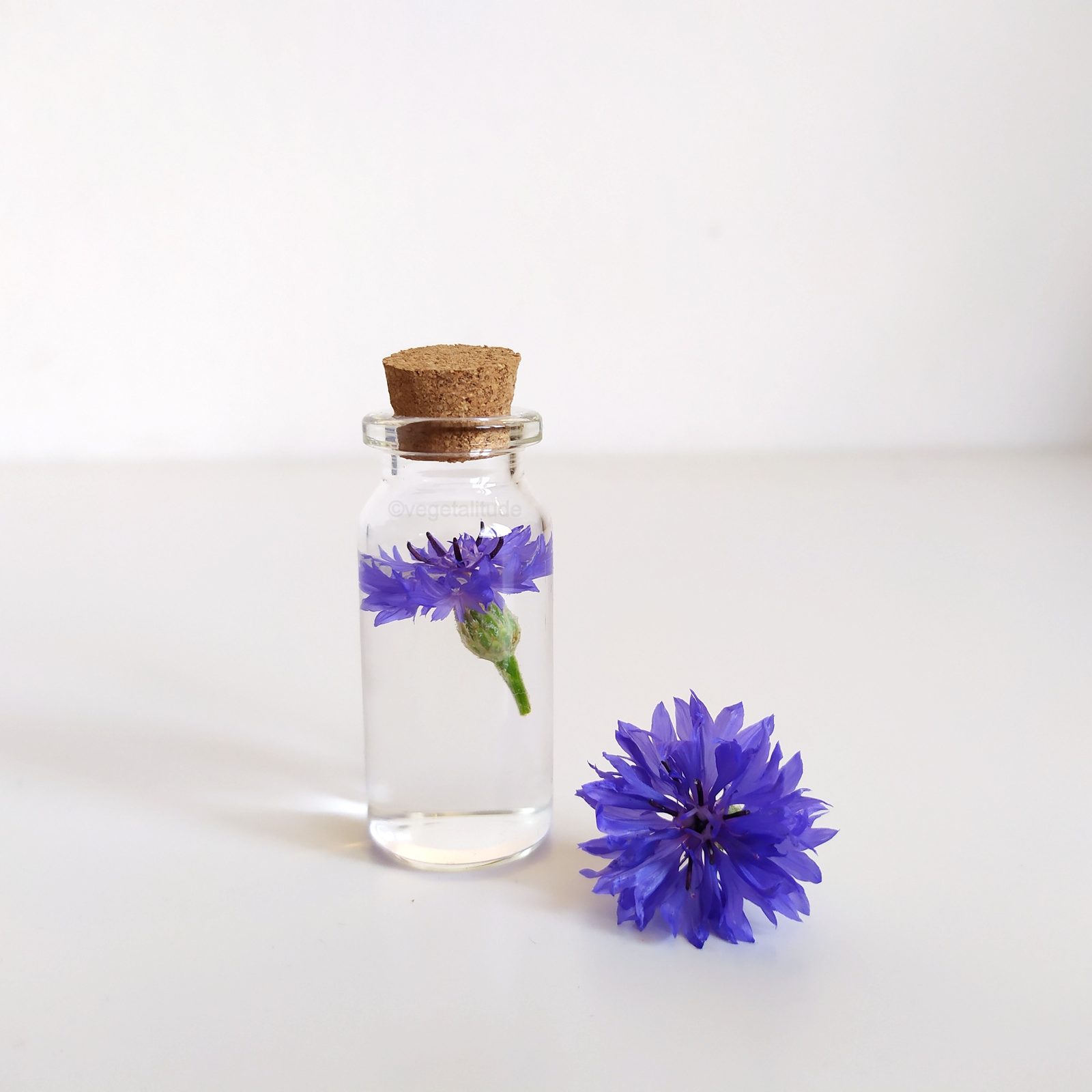 Hydrolat de fleurs de bleuet
