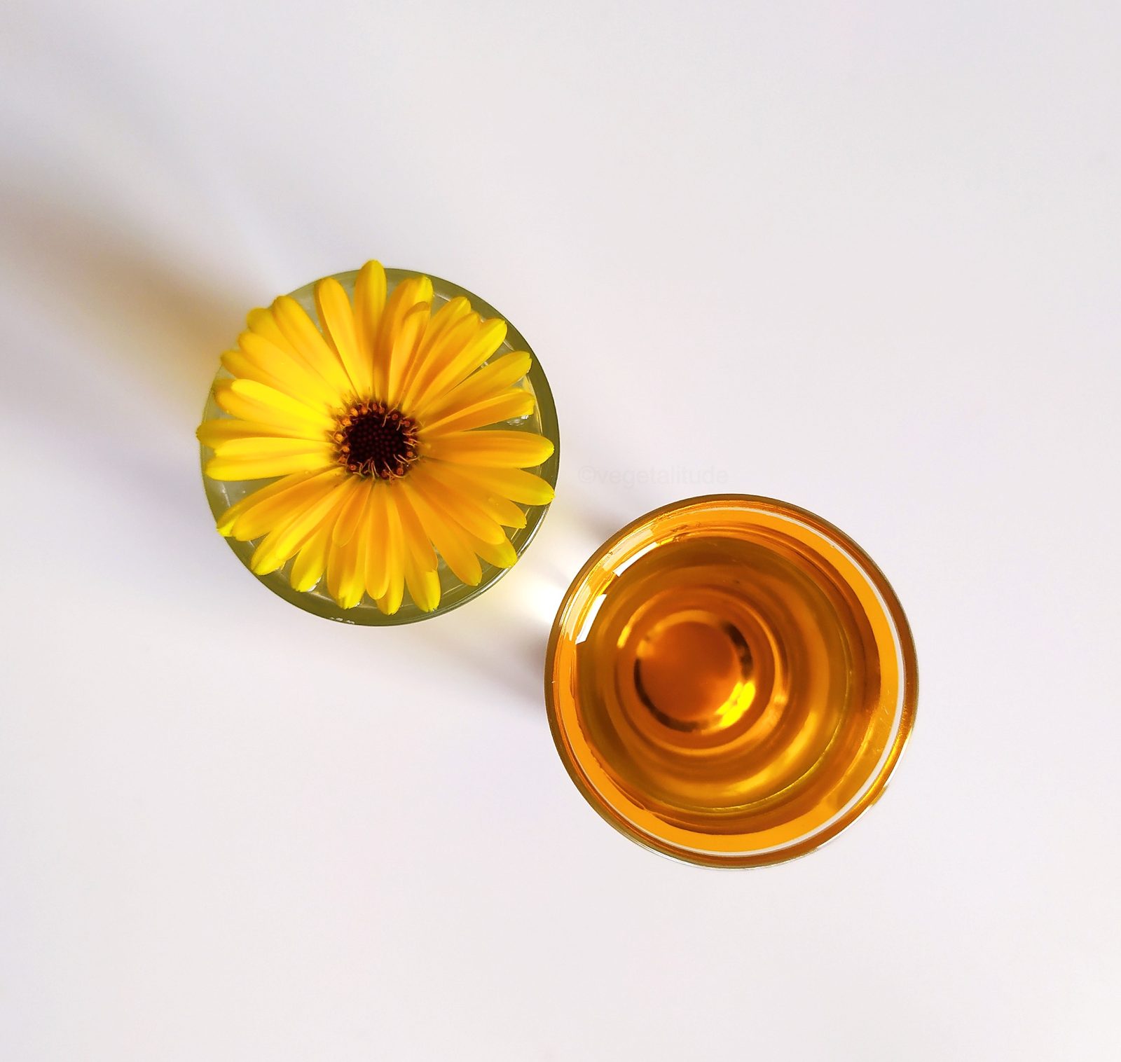 Macérât huileux de calendula