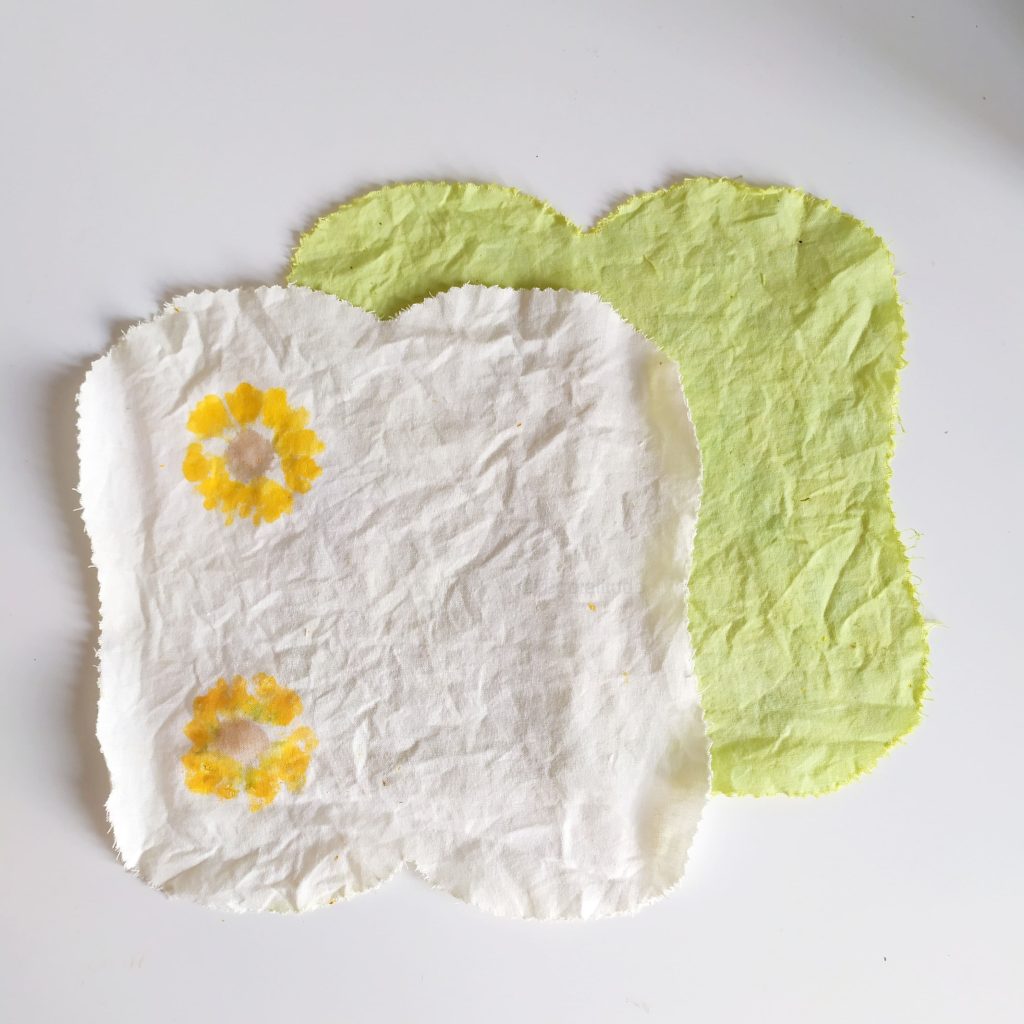 teinture des coupons en vert et impression vegetale de fleurs de calendula