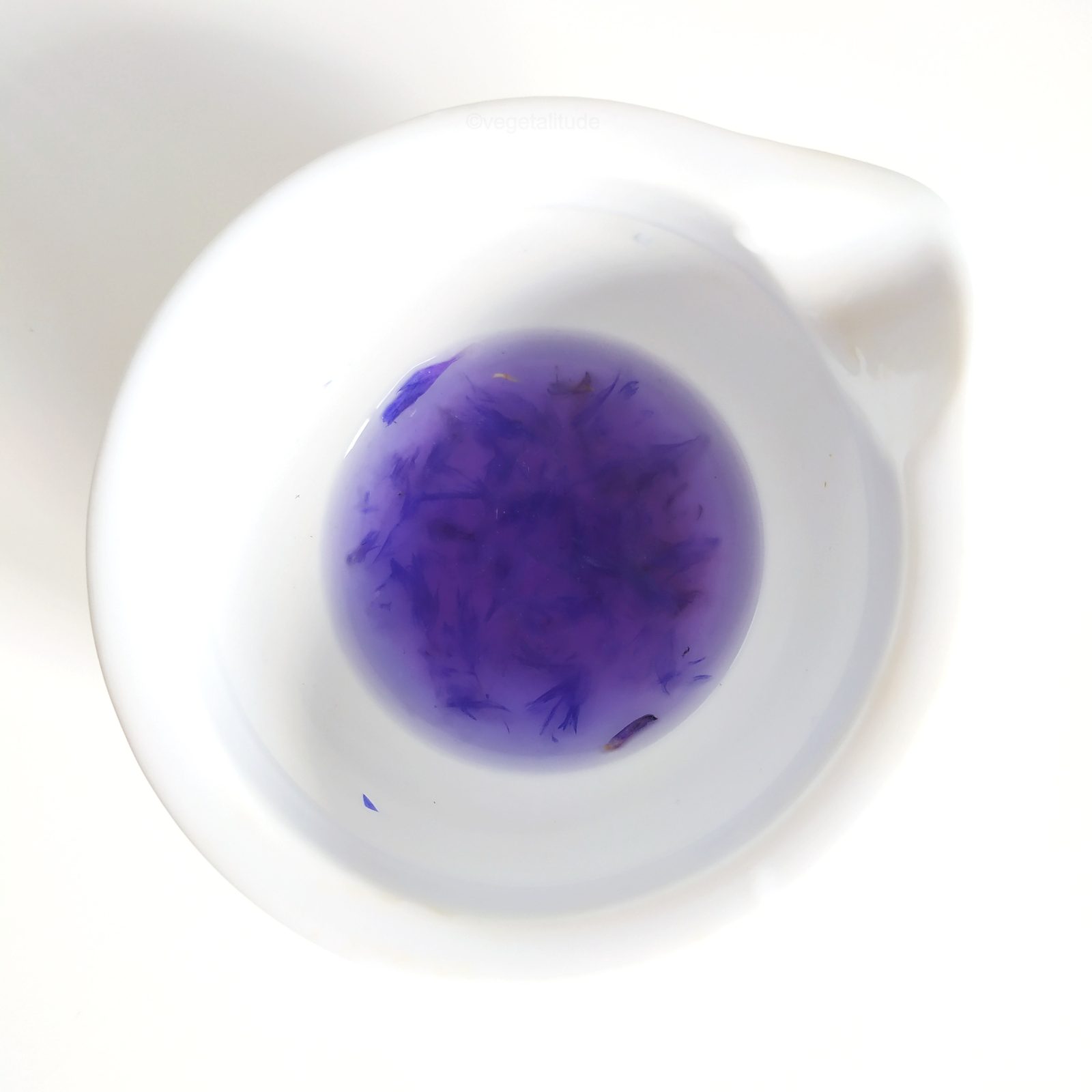 extraction à froid des anthocyane de centaurea cyanus