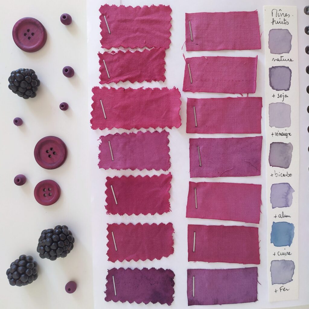 nuancier mauve de teinture aux mures