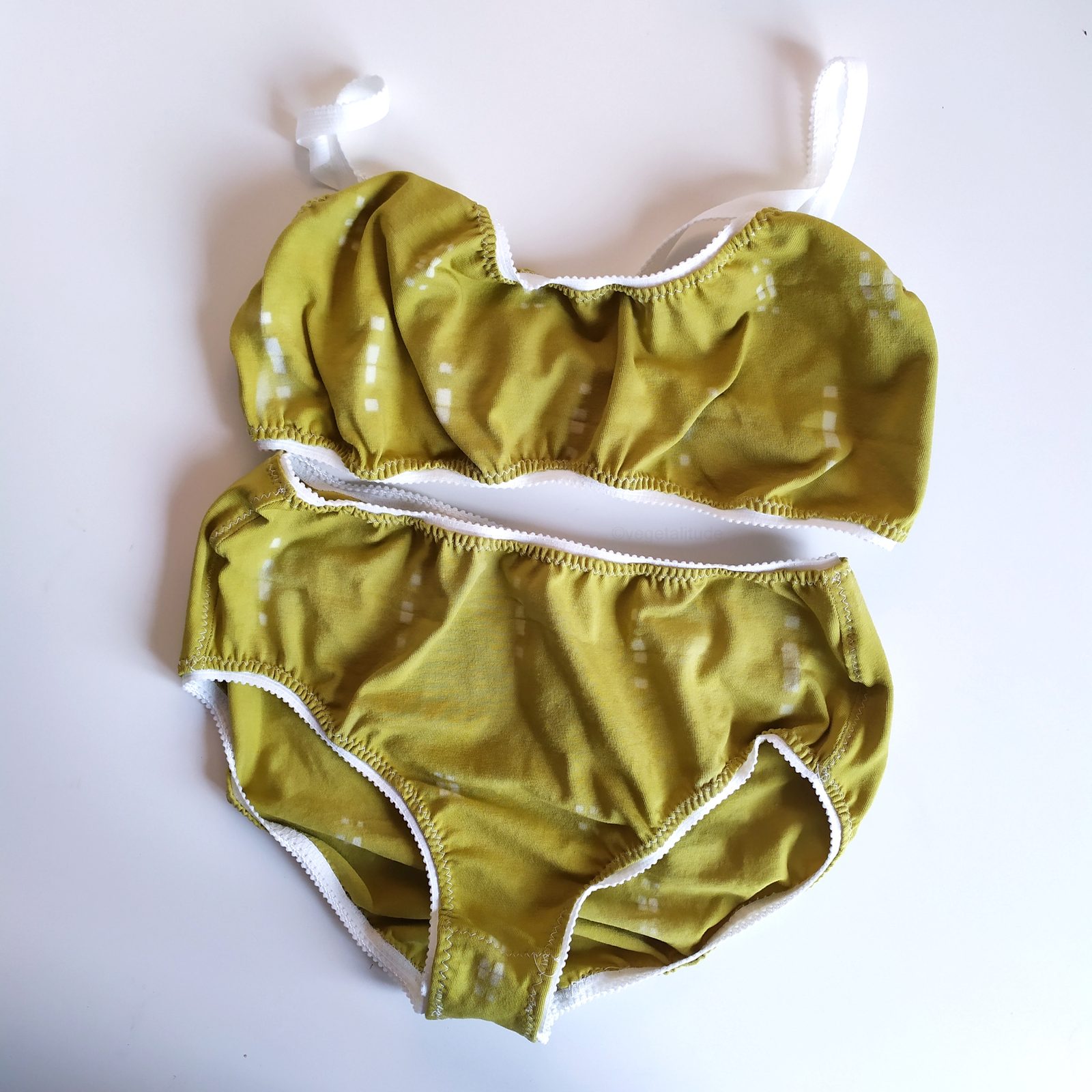 teinture végétale de sauge
