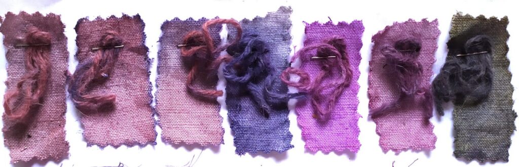 nuancier botanique violet de teinture à l'orçanette
