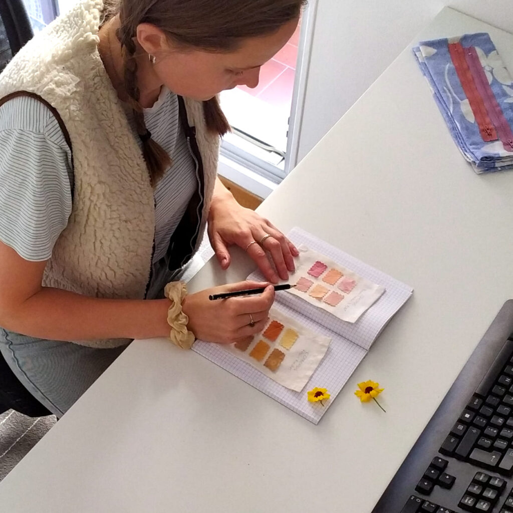 repertorier les petits nuanciers a teindre dans un carnet