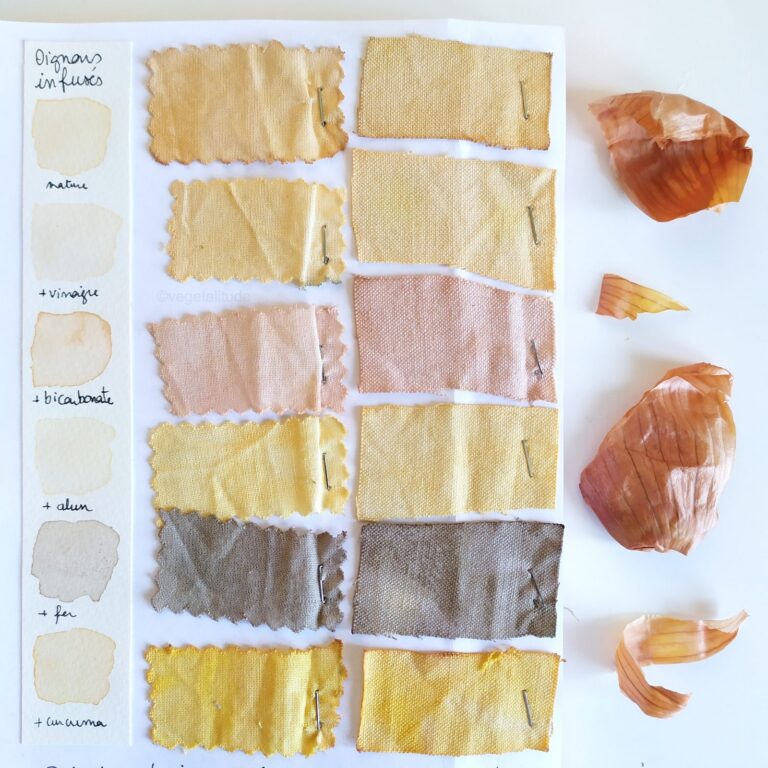Teinture à l’oignon jaune infusé