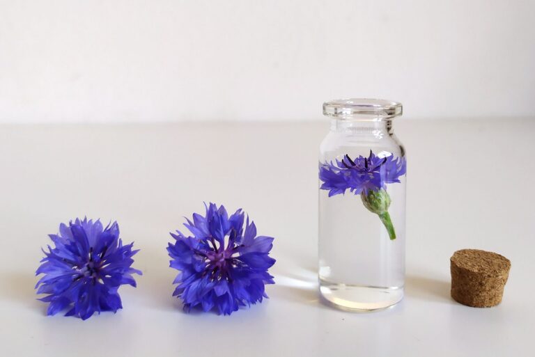 Eau florale de bleuet